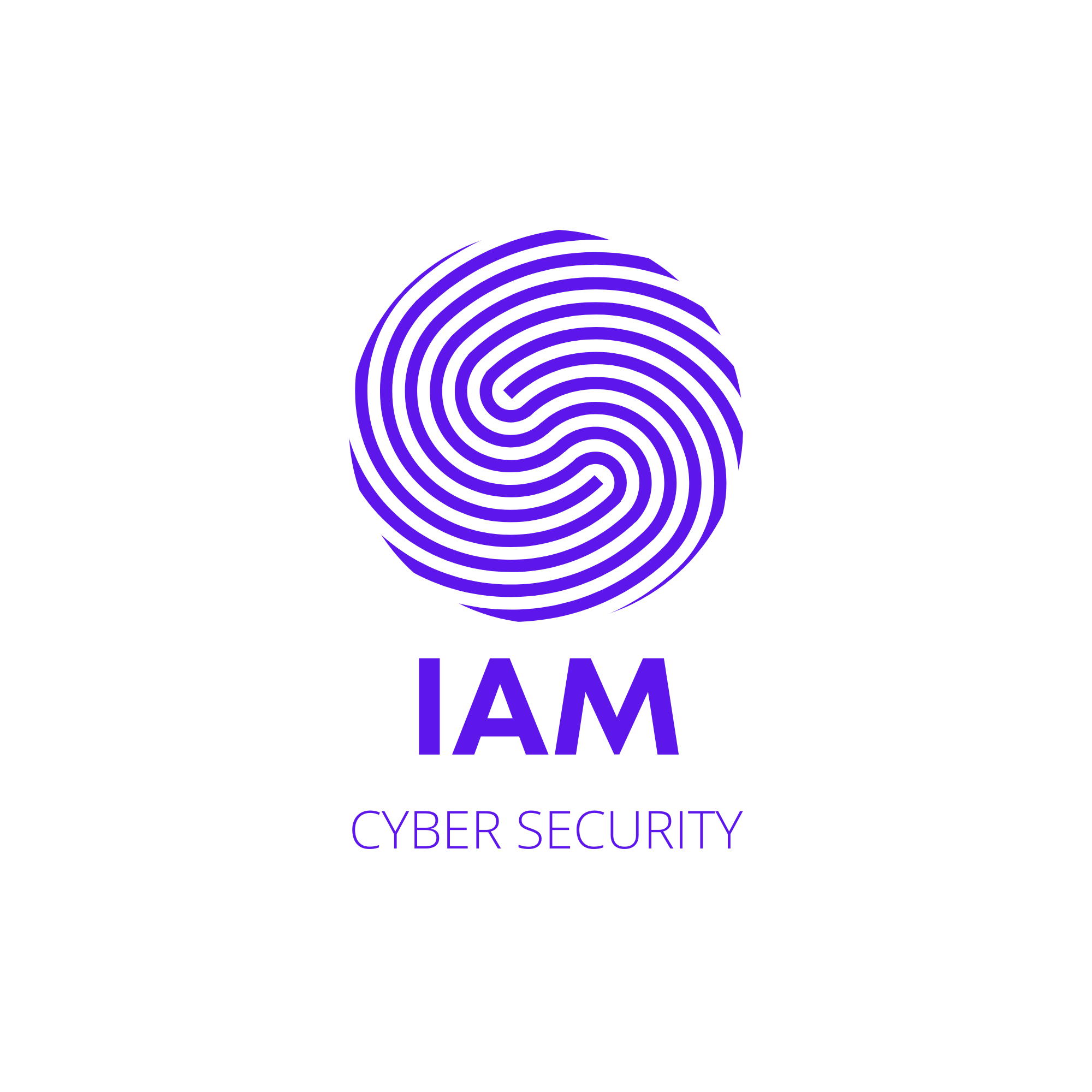 IAM Cyber Security logo